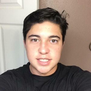 Meet your Posher, Joey